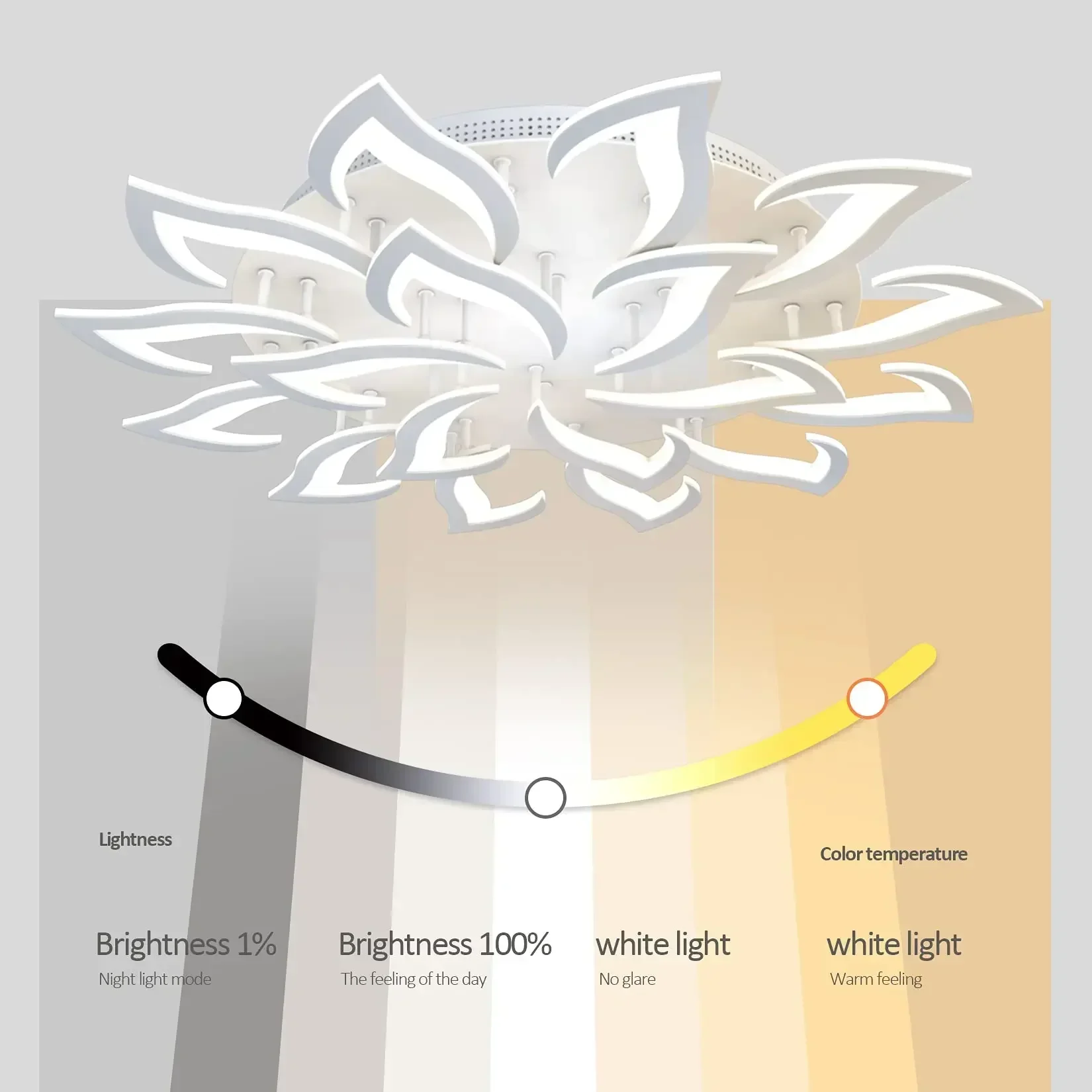 Desainer LED kelopak lampu gan - Interior Design Studio ulasan dan harga