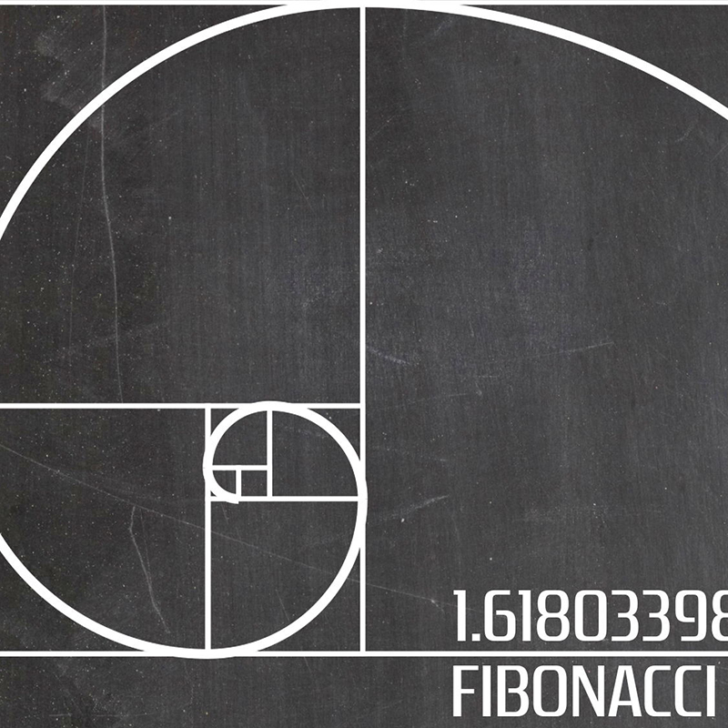 Fibonacci Spiral Seni Dinding  - Interior Design Studio ulasan dan harga